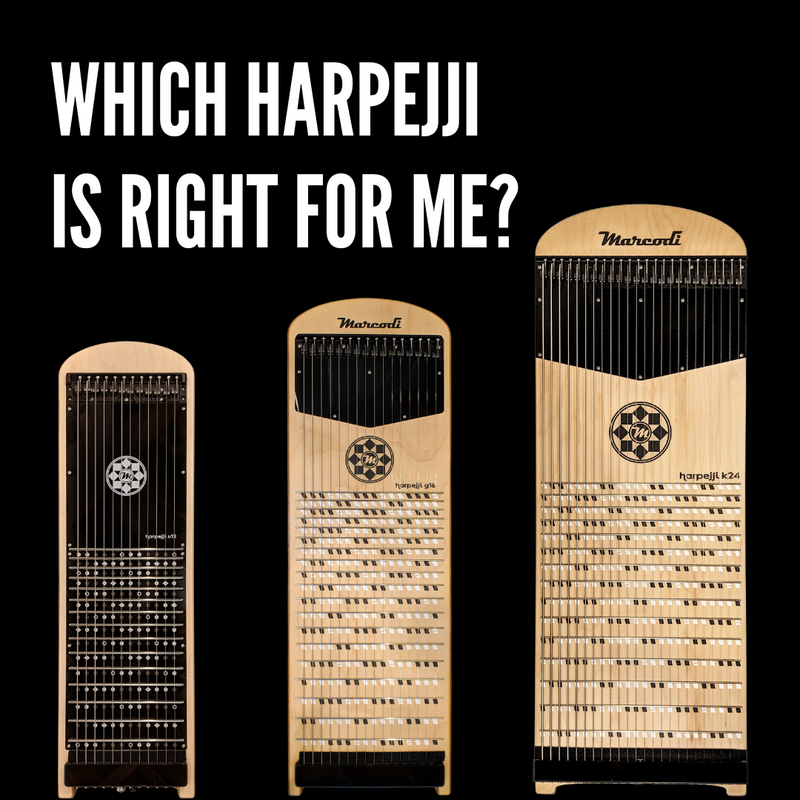 Which Harpejji Is Right For Me?