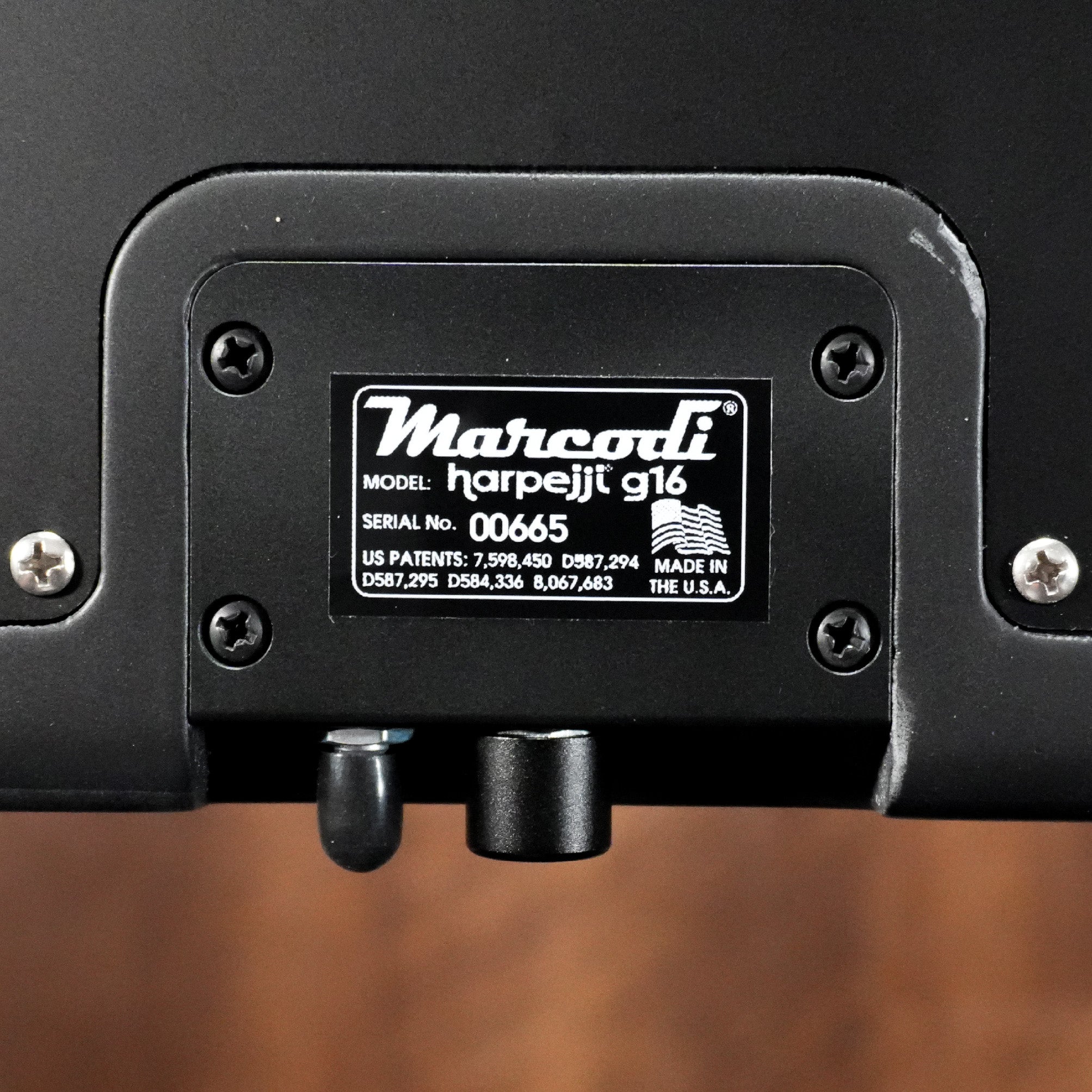 NEW Black Harpejji g16