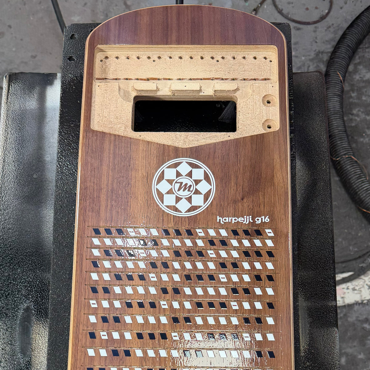 Walnut Top Standard Birch Harpejji g16