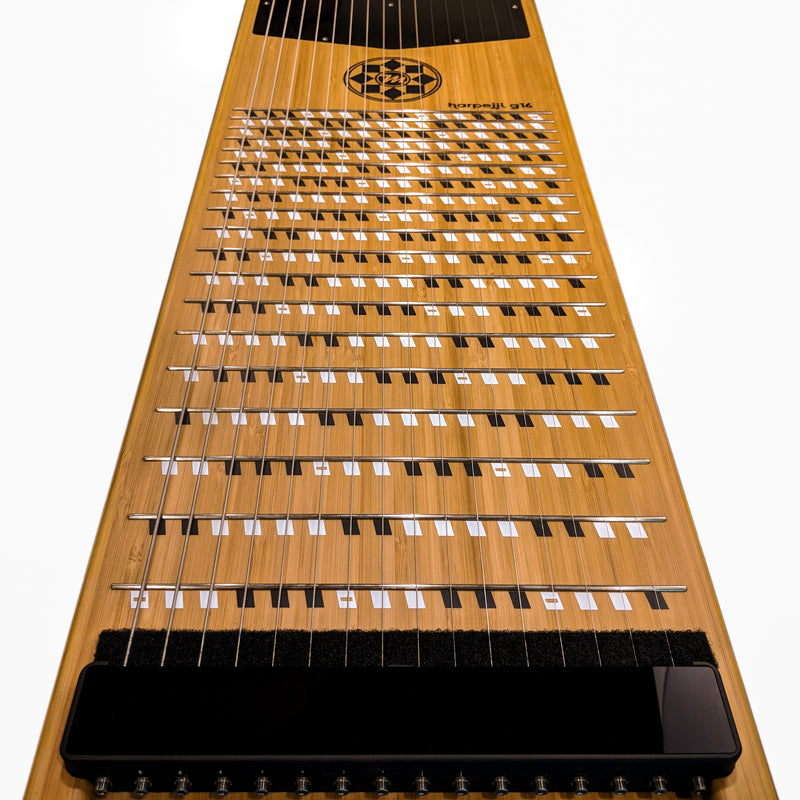 Custom Harpejji G16