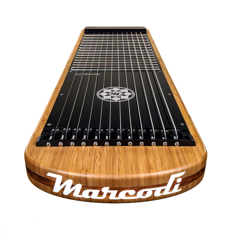 Custom Harpejji U12