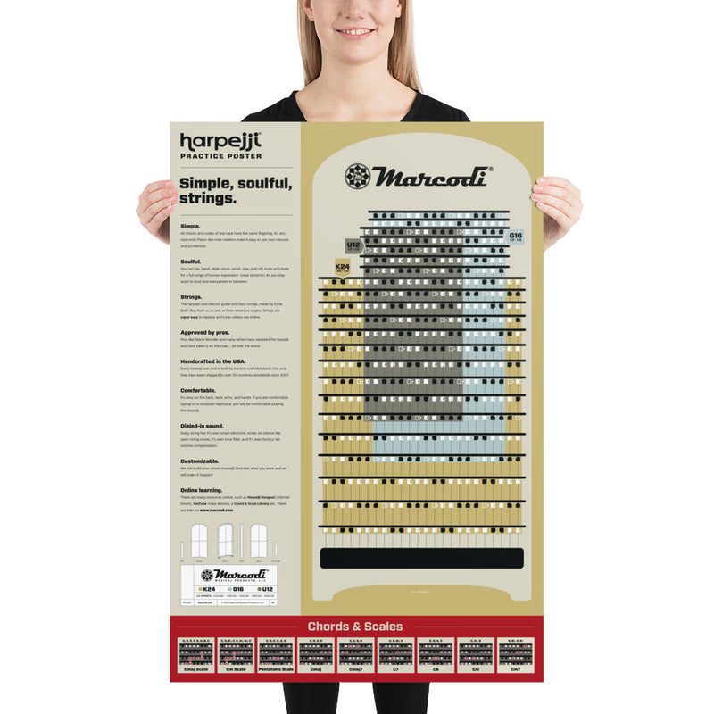 Framed Harpejji® Practice Poster